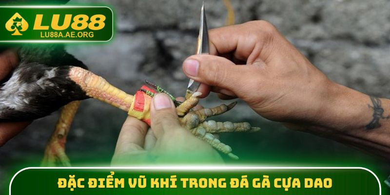 Đặc điểm vũ khí trong đá gà cựa dao