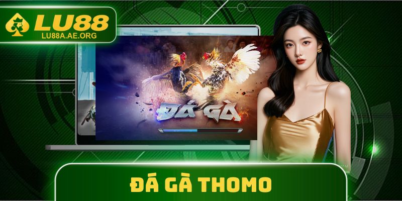 Đá Gà Thomo