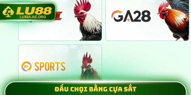 Đấu chọi bằng cựa sắt