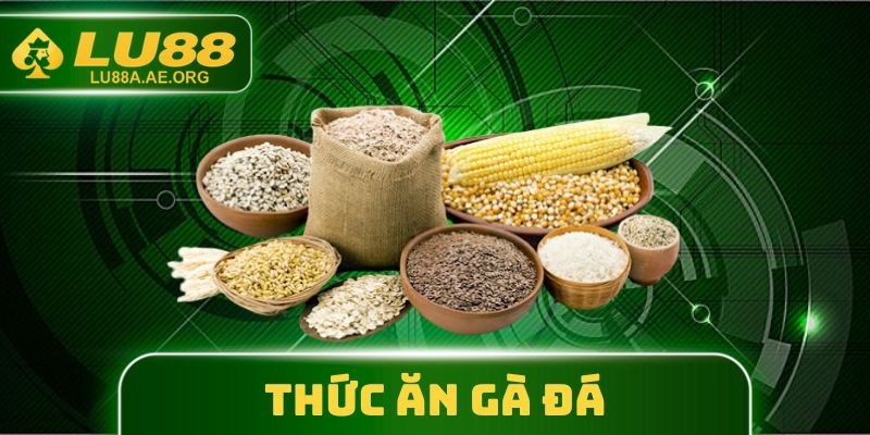 Thức Ăn Gà Đá