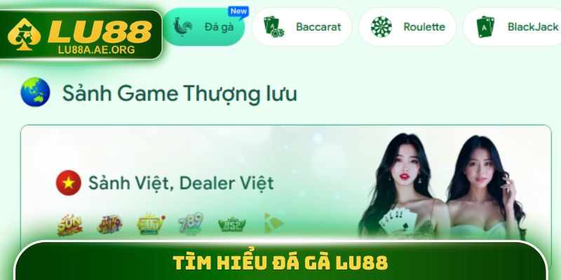 Tìm hiểu đá gà lu88